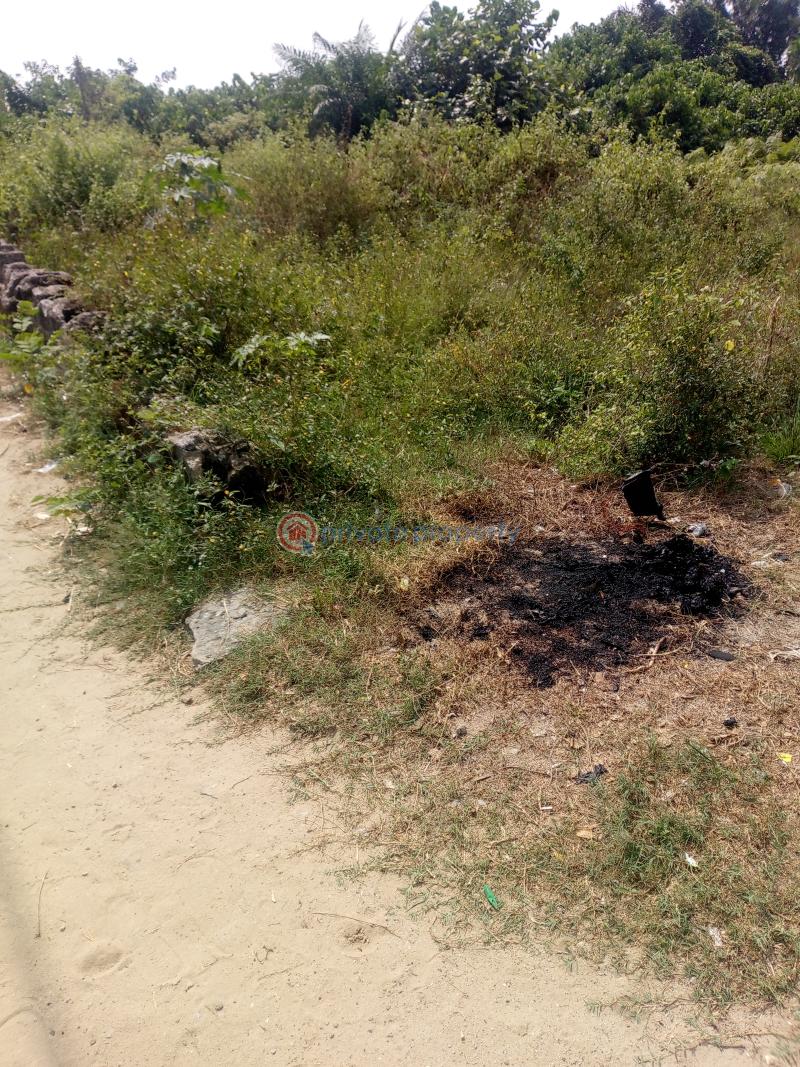 Residential Land For Sale Lekki Epe Express Way, Alaro City, Lekki Free Trade Zone, Dangote Refinery, Lekki Deep Sea Port, Pan Atlantic University La Campaigne Tropicana Ibeju-Lekki Lagos