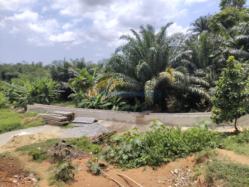 Residential Land For Sale Omole 2 Omole Phase 1 Ojodu Lagos - 6