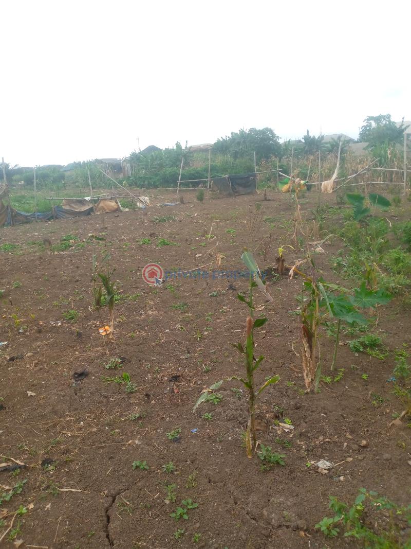 Register survey with owner receipt - 11 Mixed use Land For Sale Cele Egbe Governor's Road Ikotun Ikotun/Igando Lagos - 11