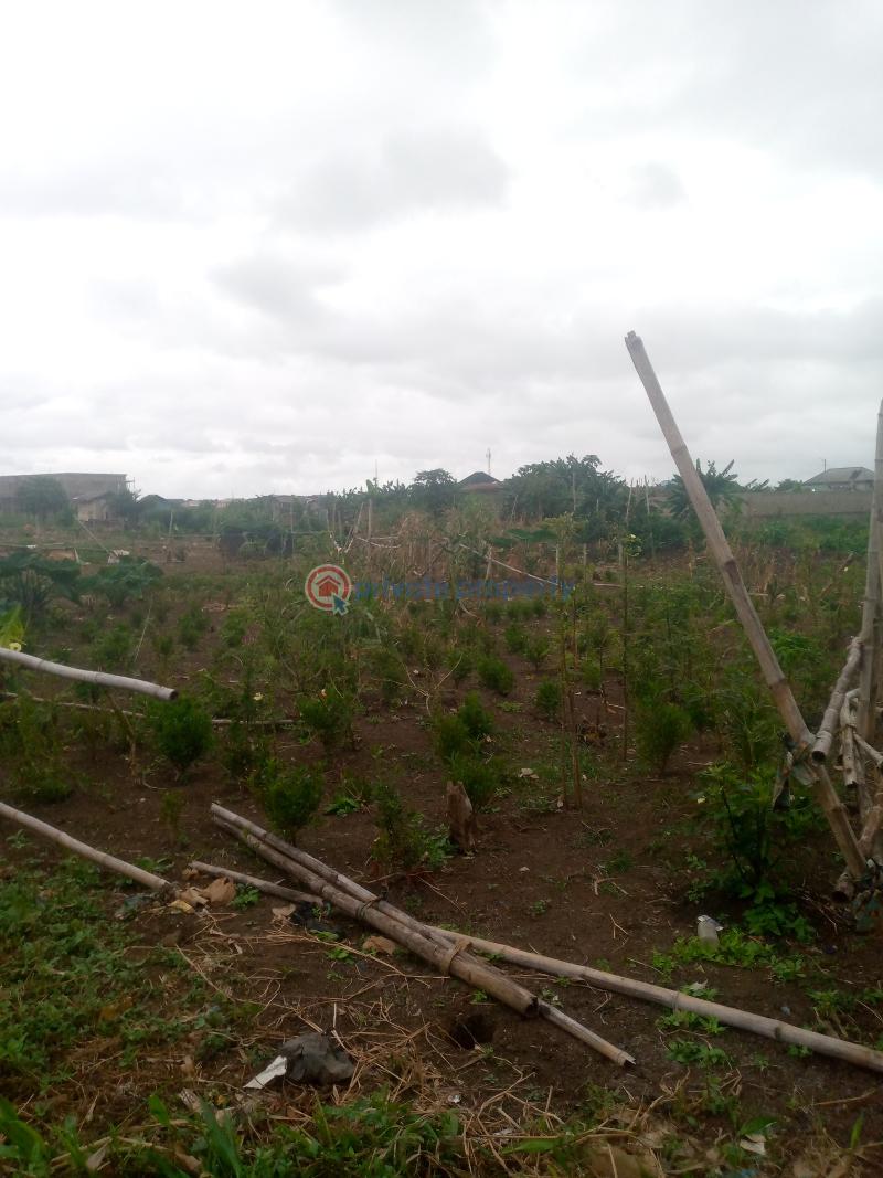 Register survey with owner receipt - 3 Mixed use Land For Sale Cele Egbe Governor's Road Ikotun Ikotun/Igando Lagos - 3