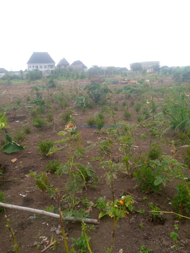 Register survey with owner receipt - 7 Mixed use Land For Sale Cele Egbe Governor's Road Ikotun Ikotun/Igando Lagos - 7