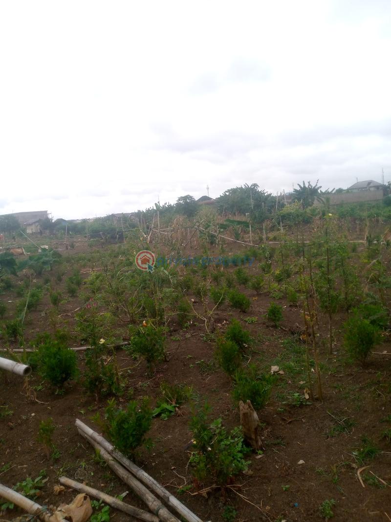 Register survey with owner receipt - 8 Mixed use Land For Sale Cele Egbe Governor's Road Ikotun Ikotun/Igando Lagos - 8