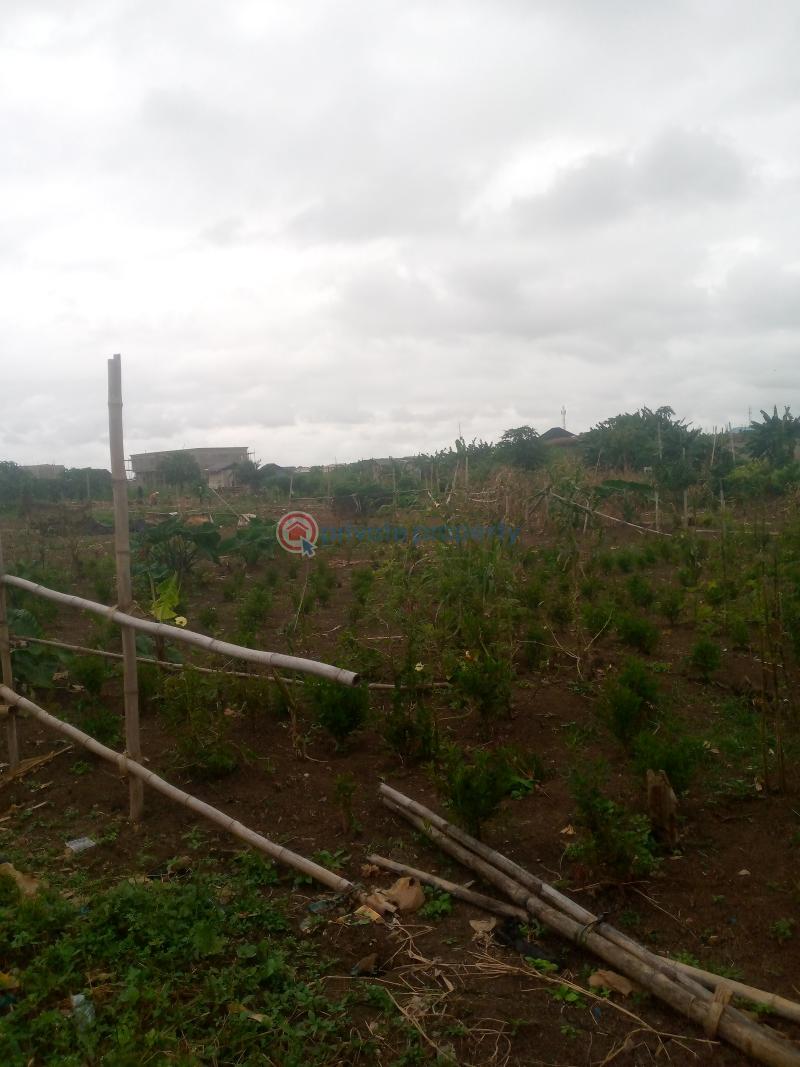 Register survey with owner receipt - 5 Mixed use Land For Sale Cele Egbe Governor's Road Ikotun Ikotun/Igando Lagos - 5