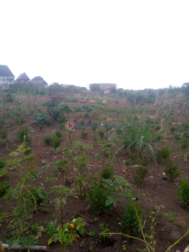 Register survey with owner receipt - 6 Mixed use Land For Sale Cele Egbe Governor's Road Ikotun Ikotun/Igando Lagos - 6