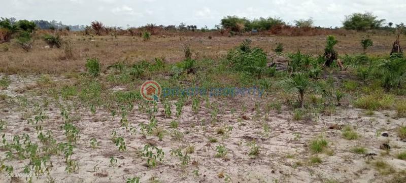 Residential Land For Sale Ode Omi Via La Campagne Tropicana Ibeju-Lekki Lagos - 3