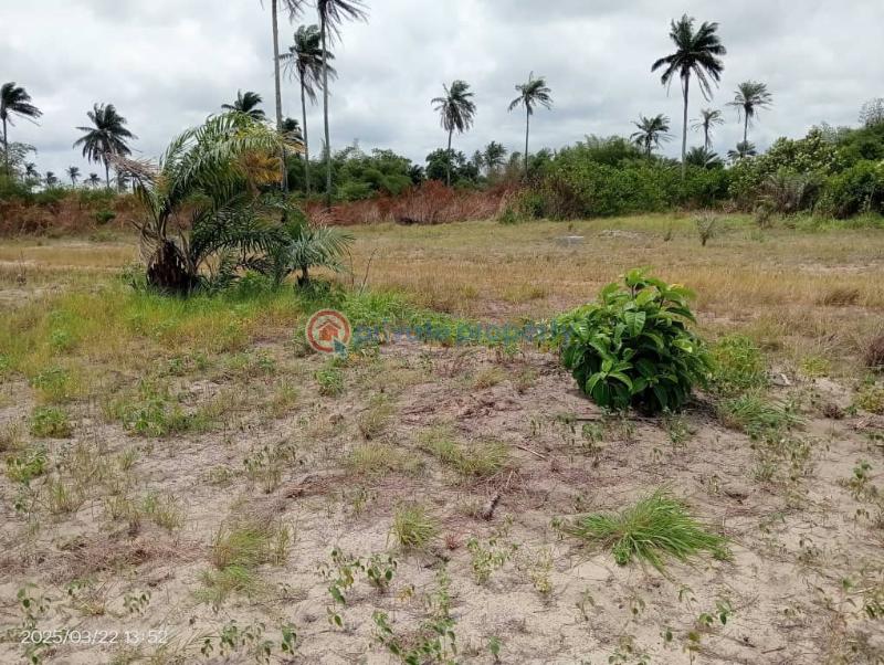 Residential Land For Sale Ode Omi Via La Campagne Tropicana Ibeju-Lekki Lagos - 6