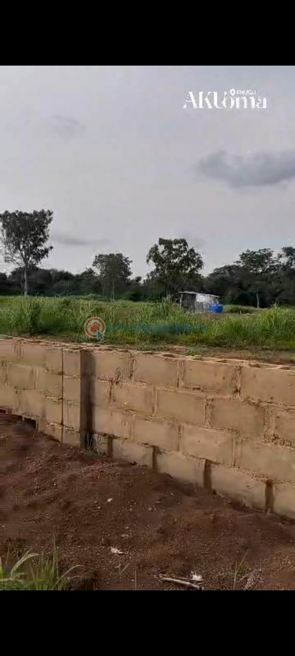 Mixed use Land For Sale Owo, Enugu State Nkanu East Enugu - 1