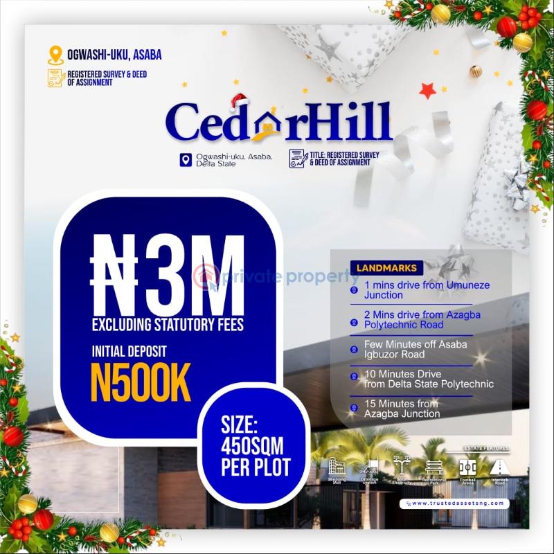Mixed use Land For Sale Cedarhill Estate, Close To Asaba Iguzou Road Asaba Delta