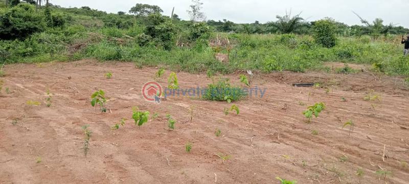 Residential Land For Sale Onifufu Village, Off Eruwa Road, Eleyele, Ibadan Oyo - 3