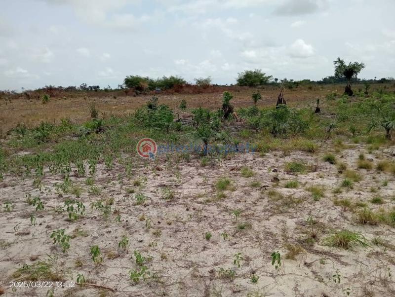 Residential Land For Sale Ode Omi Via La Campagne Tropicana Ibeju-Lekki Lagos - 5