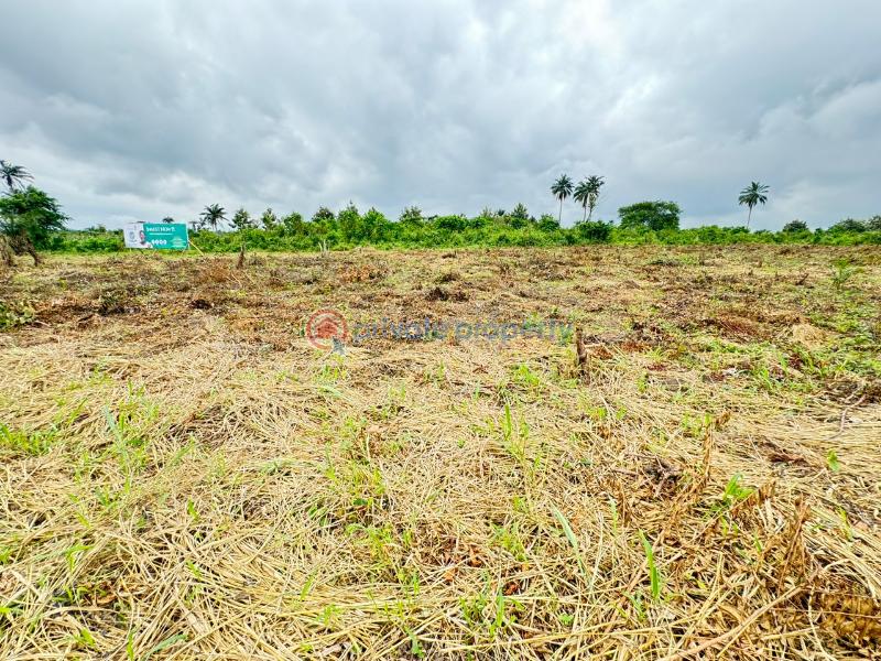Registered survey, land with cofo for sale - 1 Residential Land For Sale Agunecheibe Luxury Homes Located At Okpanam Asaba Delta - 1