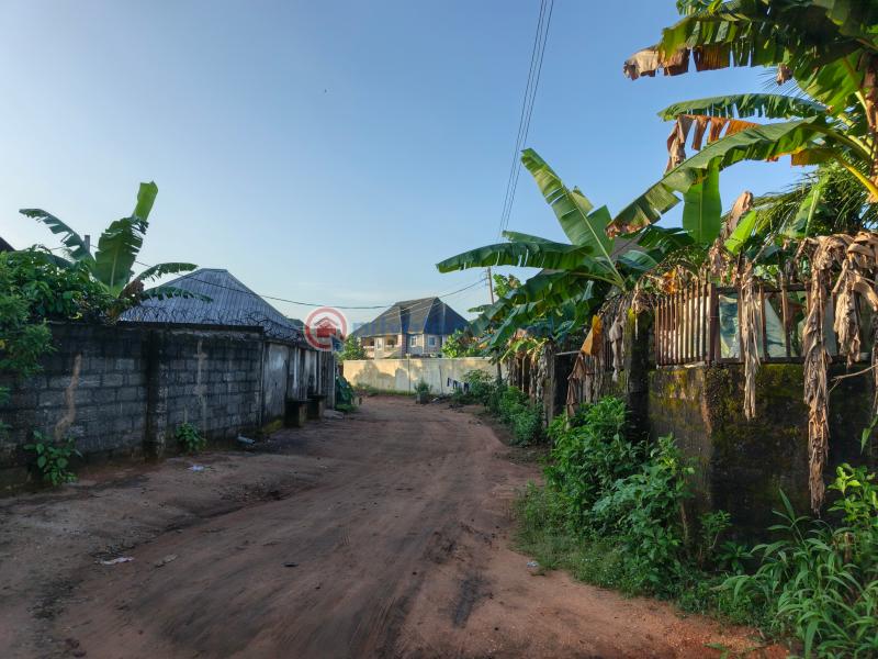 Residential Land For Sale Amakabo Avenue By White House Avu Owerri Imo - 7