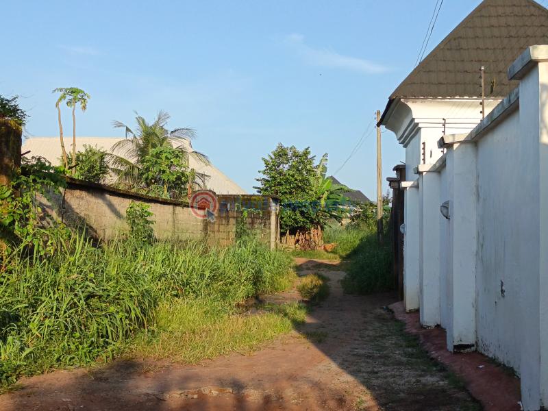 Residential Land For Sale Amakabo Avenue By White House Avu Owerri Imo - 11