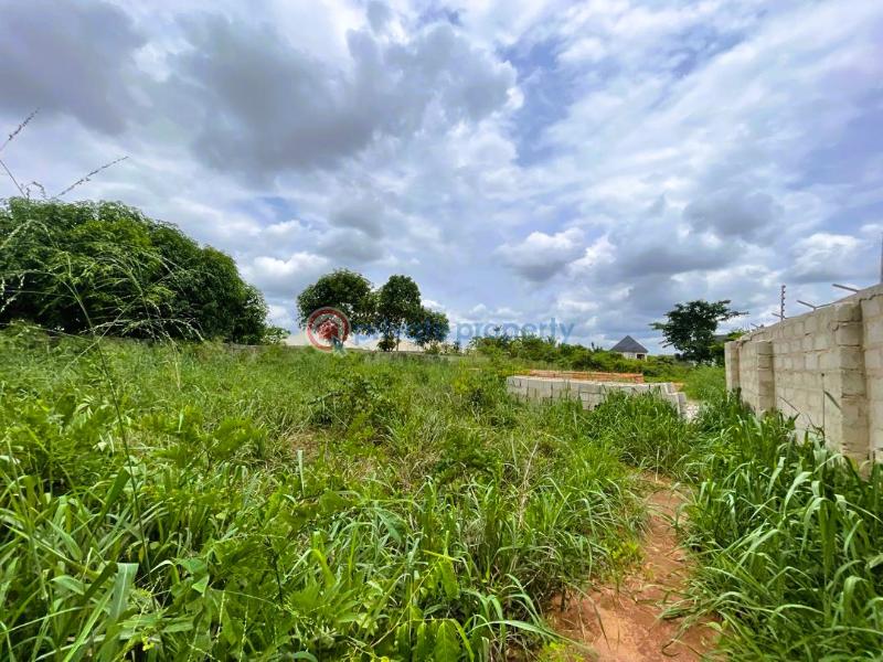 Residential Land For Sale Gold Palm Estate Owerri Owerri Imo - 1