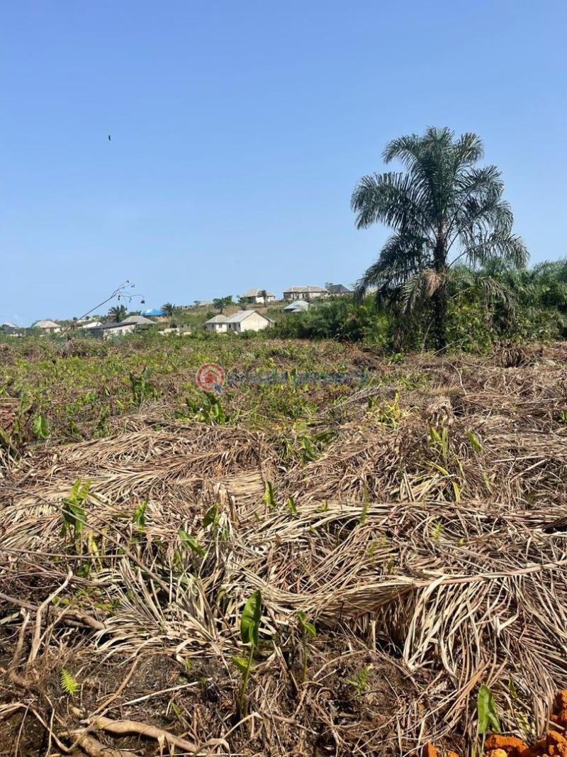 Land For Sale Epe Lagos - 1