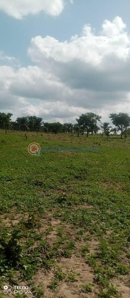 Residential Land For Sale Wasa Apo Abuja Phase 2  - 1