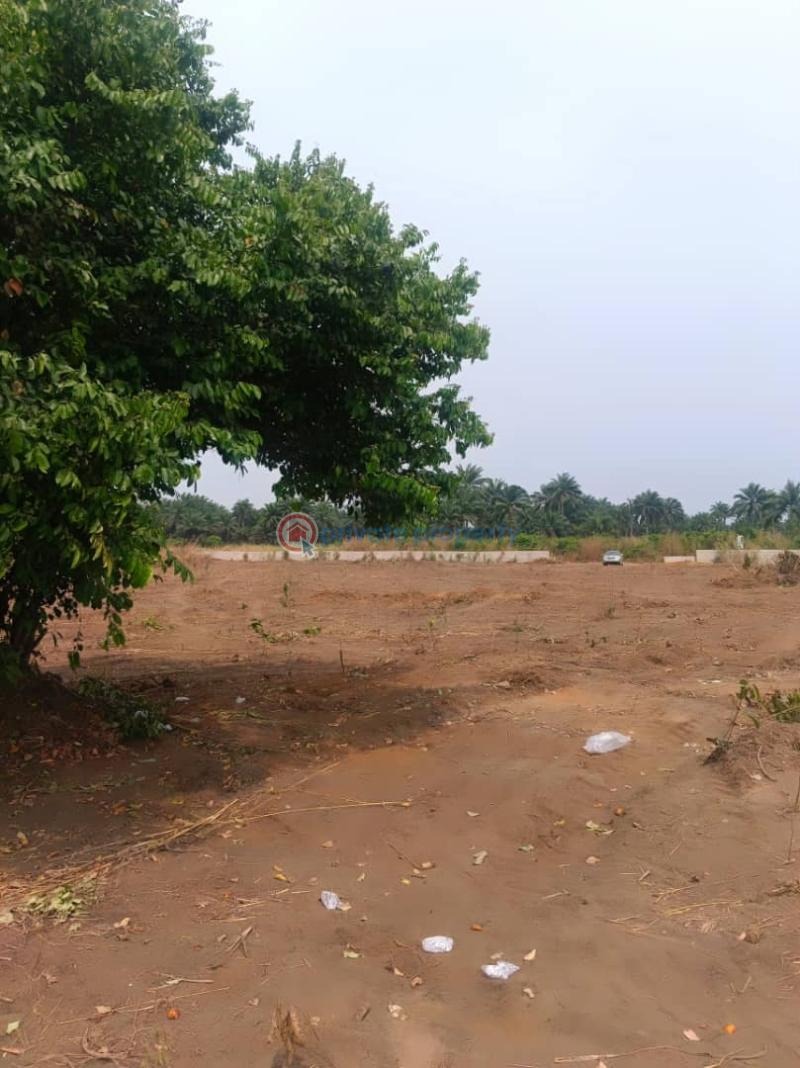 Residential Land For Sale Ogbor Hill, Aba Aba South Abia - 4