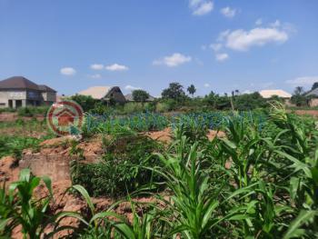 Residential Land For Sale Arulogun, Holiness Estate Ojoo Moniya Ibadan Oyo - 3