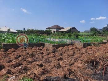 Residential Land For Sale Arulogun, Holiness Estate Ojoo Moniya Ibadan Oyo - 1
