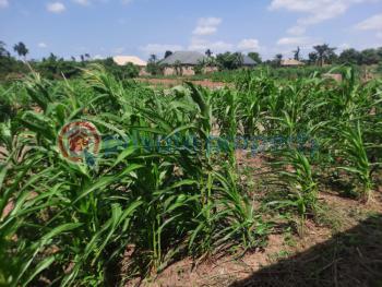 Residential Land For Sale Arulogun, Holiness Estate Ojoo Moniya Ibadan Oyo - 2
