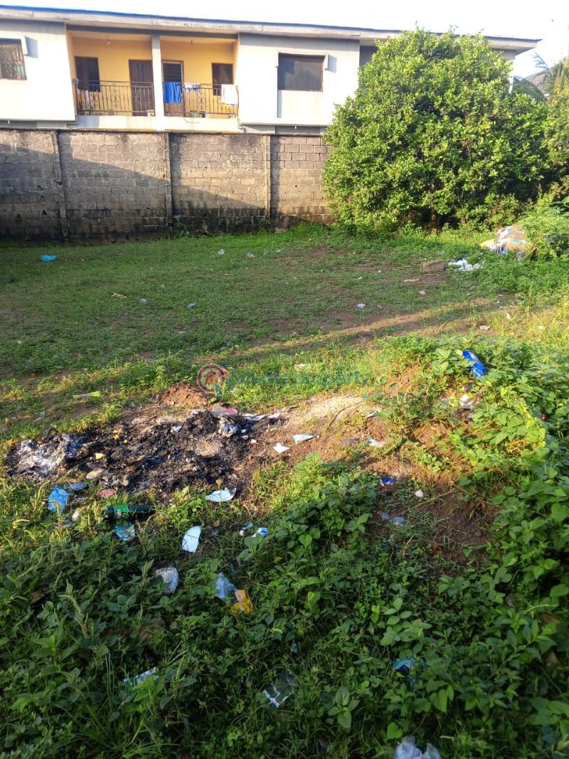 Residential Land For Sale Ekoro Abule Egba Lagos - 3