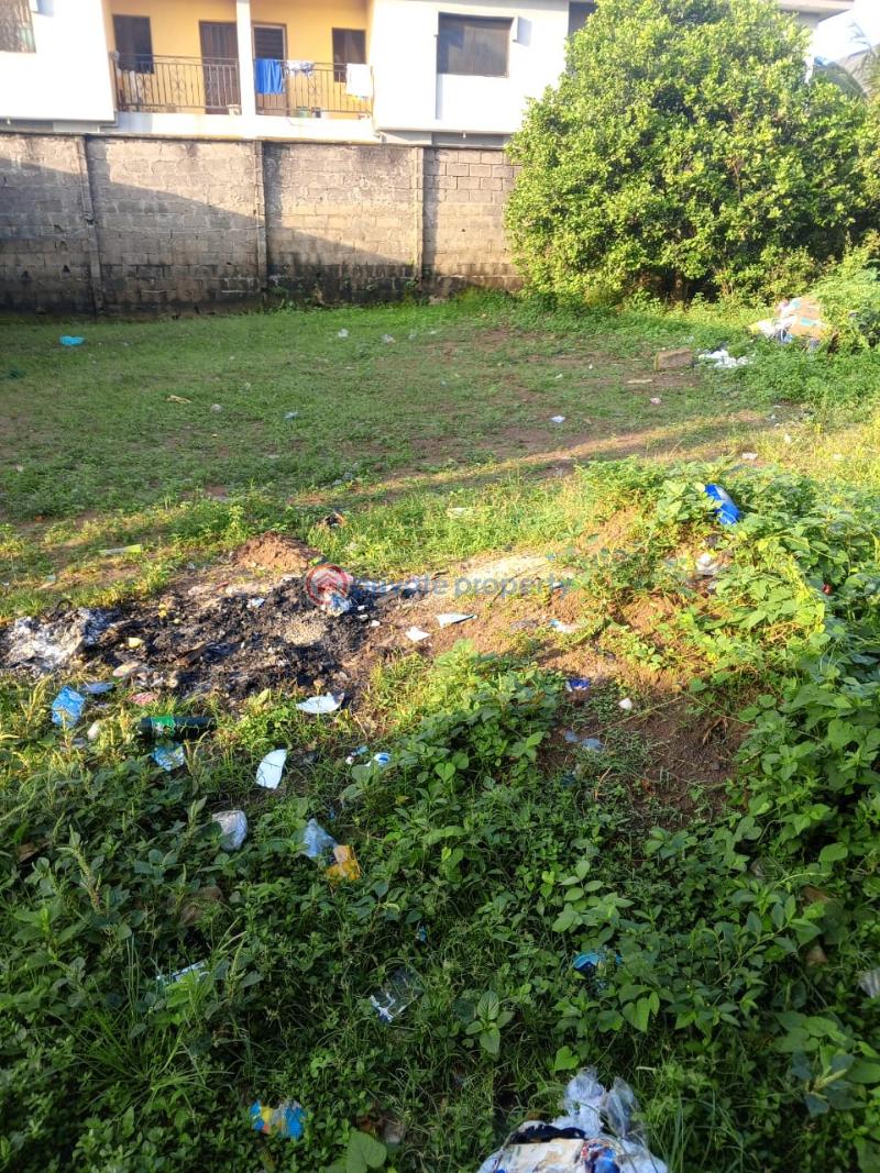 Residential Land For Sale Ekoro Abule Egba Lagos - 2