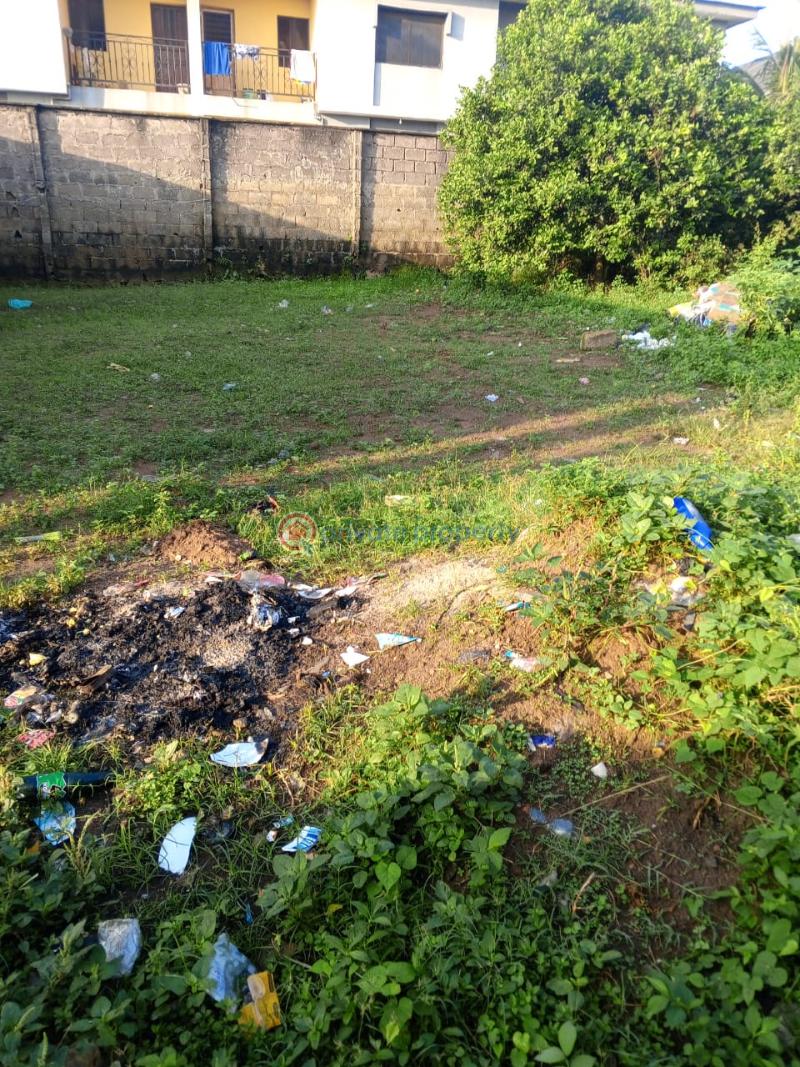 Residential Land For Sale Ekoro Abule Egba Lagos - 8