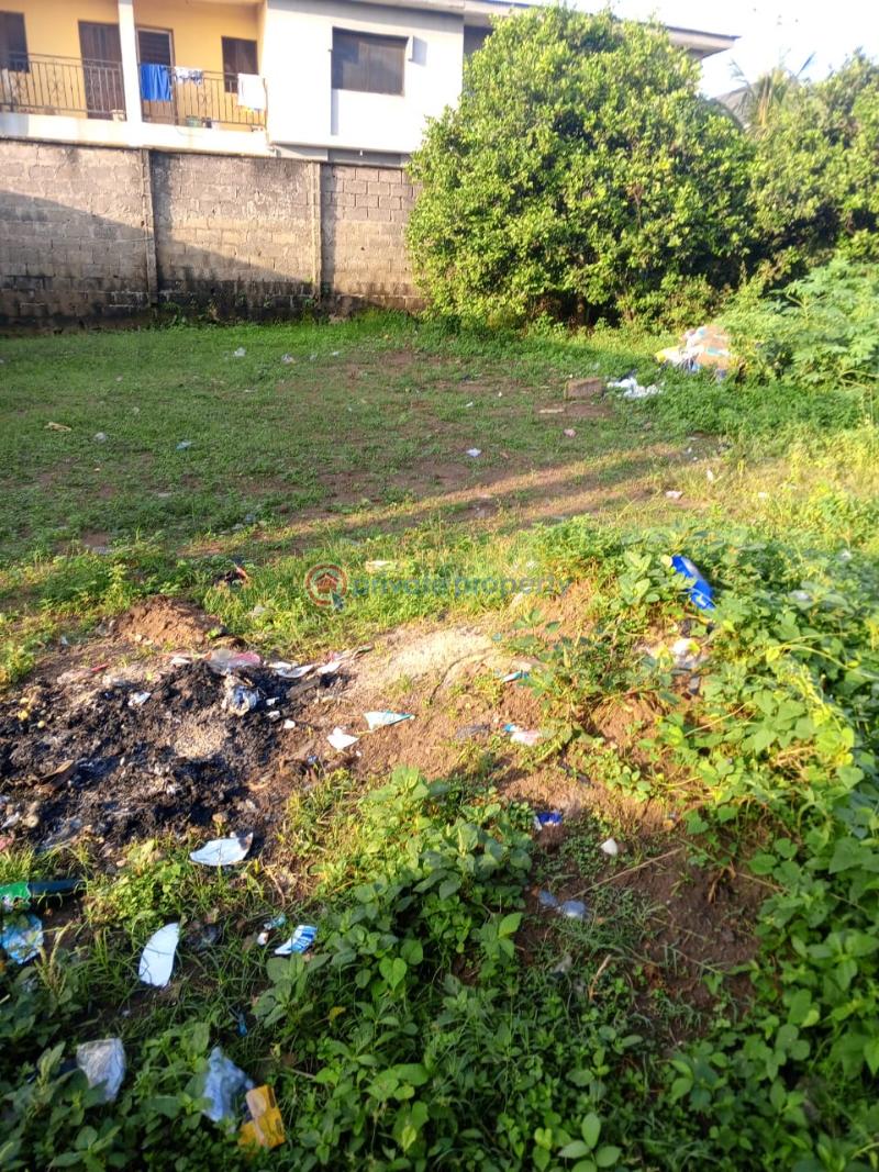 Residential Land For Sale Ekoro Abule Egba Lagos - 0