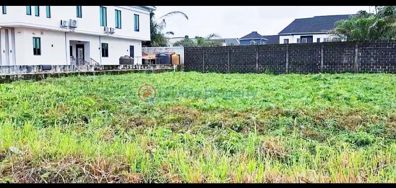 Residential Land For Sale Corporative Villa Estate Badore Ajah Lagos - 2