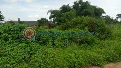 Residential Land For Sale Alalubosa Ibadan Oyo