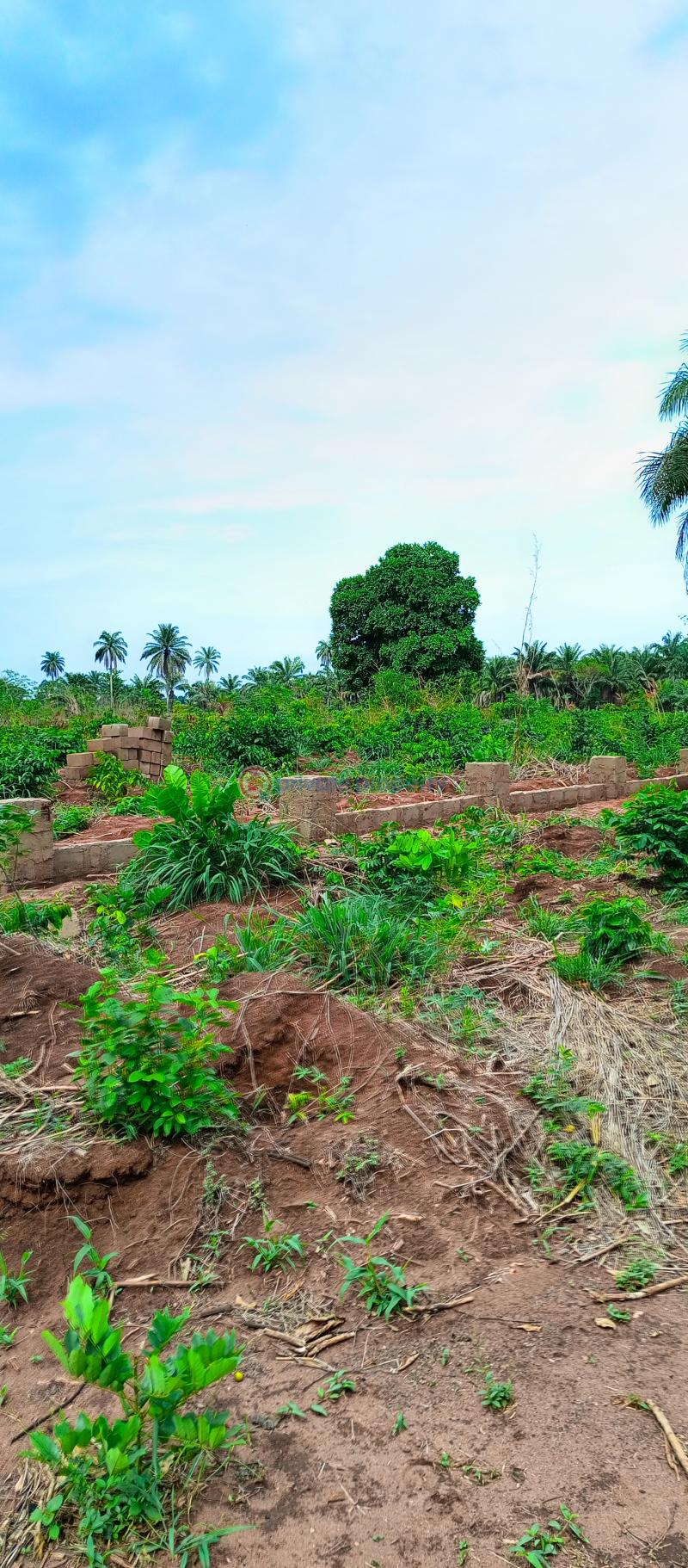 Residential Land For Sale Akuku Igbo, Asaba Aniocha South Delta - 1