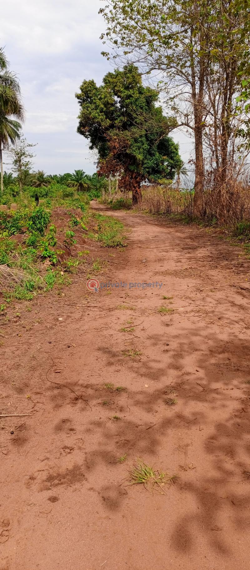 Residential Land For Sale Akuku Igbo, Asaba Aniocha South Delta - 5