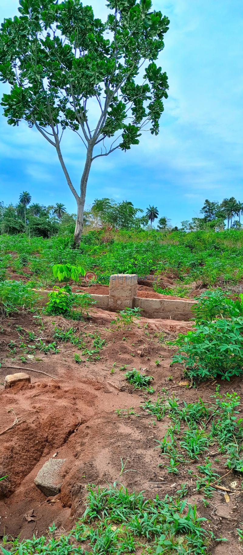 Residential Land For Sale Akuku Igbo, Asaba Aniocha South Delta - 3