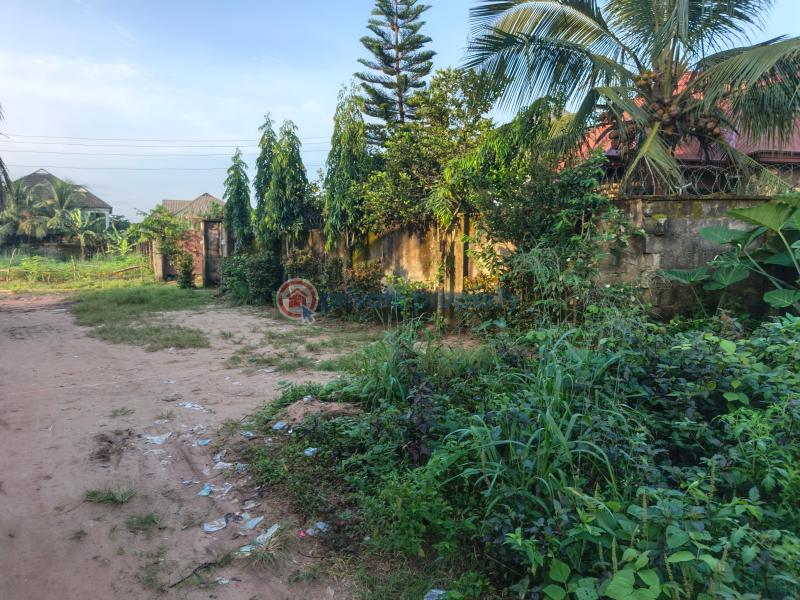 Residential Land For Sale Umoku Community Layout Avu Ancient Kingdom Owerri Imo - 6