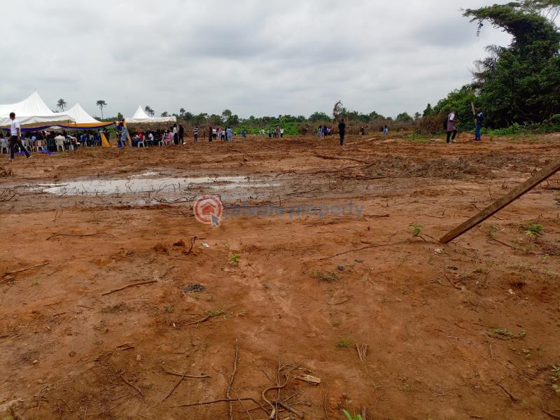 Mixed use Land For Sale The Pineapples Estate Agbowa Ikorodu Ogun Ogun area  - 2