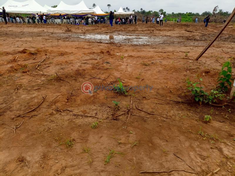 Residential Land For Sale The Pineapples Estate Agbowa Ikorodu Ogun Ogun area  - 4