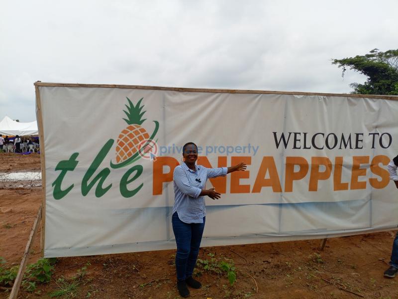 Residential Land For Sale The Pineapples Estate Agbowa Ikorodu Ogun Ogun area  - 2