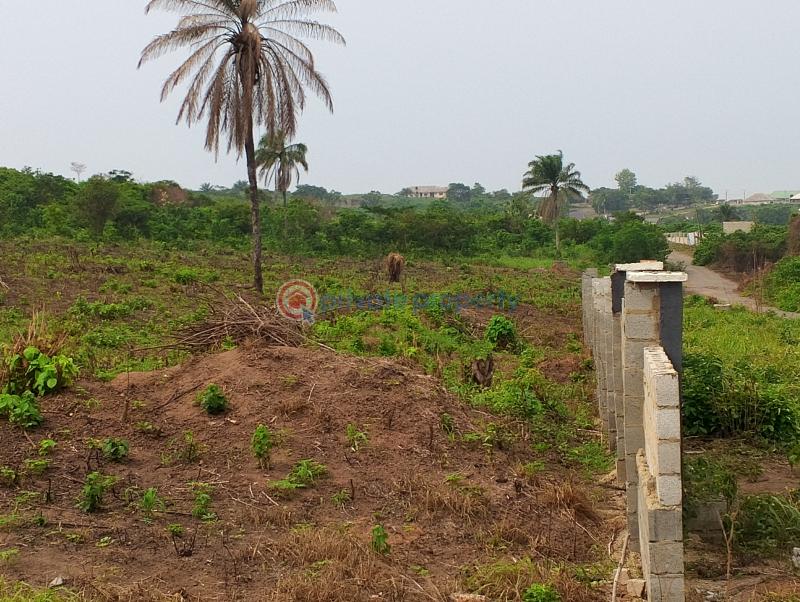 Mixed use Land For Sale Odolewu Epe Lagos - 2
