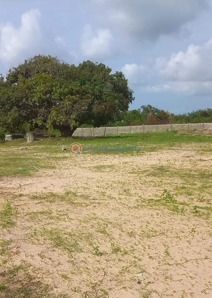 Land For Sale Amen City Free Trade Zone Along Dangote Refinery/lekki Free Trade Zone Road Ibeju Lekki Lagos Free Trade Zone Ibeju-Lekki Lagos - 6