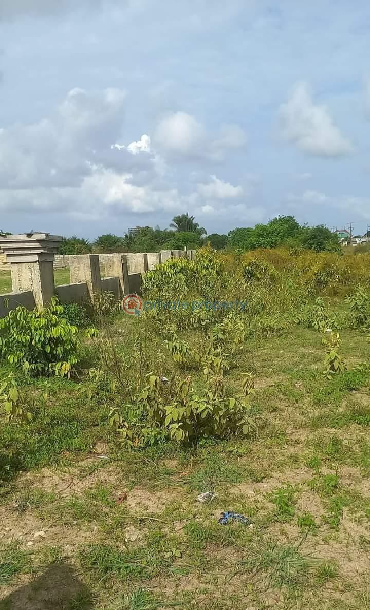 Land For Sale Amen City Free Trade Zone Along Dangote Refinery/lekki Free Trade Zone Road Ibeju Lekki Lagos Free Trade Zone Ibeju-Lekki Lagos - 3