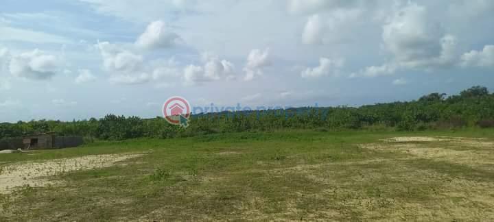 Land For Sale Amen City Free Trade Zone Along Dangote Refinery/lekki Free Trade Zone Road Ibeju Lekki Lagos Free Trade Zone Ibeju-Lekki Lagos - 4