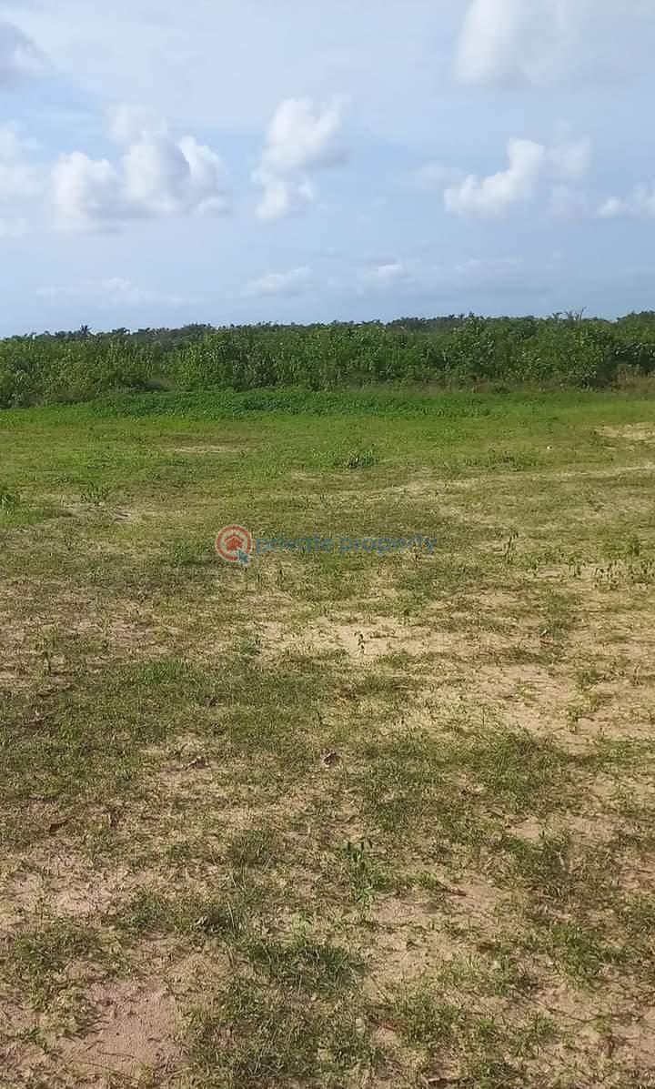 Land For Sale Amen City Free Trade Zone Along Dangote Refinery/lekki Free Trade Zone Road Ibeju Lekki Lagos Free Trade Zone Ibeju-Lekki Lagos - 7