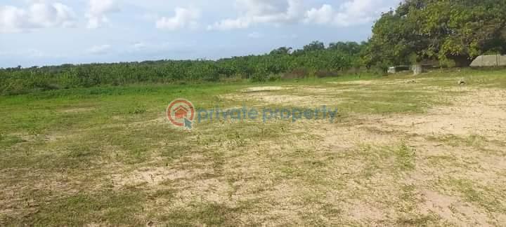 Land For Sale Amen City Free Trade Zone Along Dangote Refinery/lekki Free Trade Zone Road Ibeju Lekki Lagos Free Trade Zone Ibeju-Lekki Lagos - 11