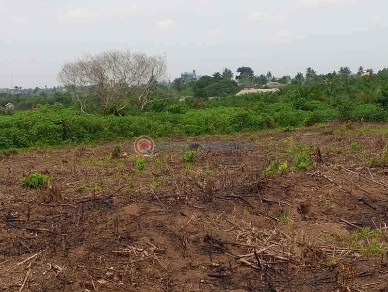 Mixed use Land For Sale Odolewu Epe Lagos - 3