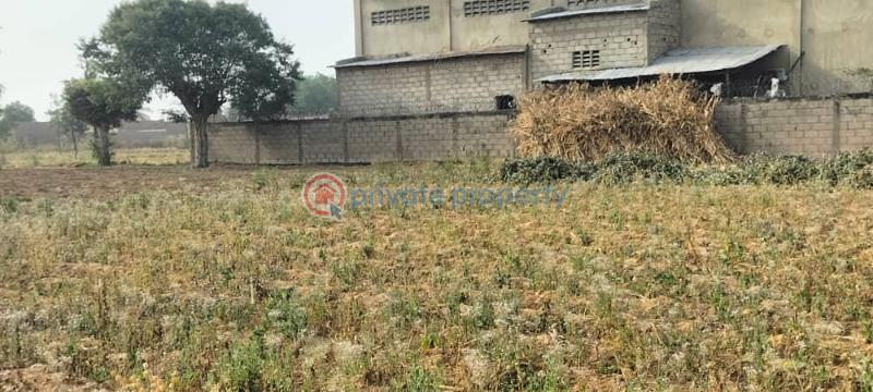 Factory For Sale Zaria Road Kano Area  - 12
