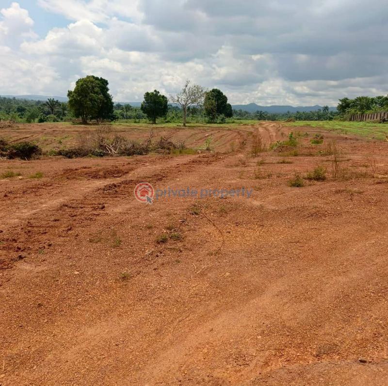 Residential Land For Sale Elim Estate Ibagwa Nike Enugu Area  - 1