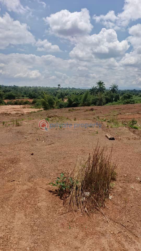 Residential Land For Sale Elim Estate Ibagwa Nike Enugu Enugu Area  - 0