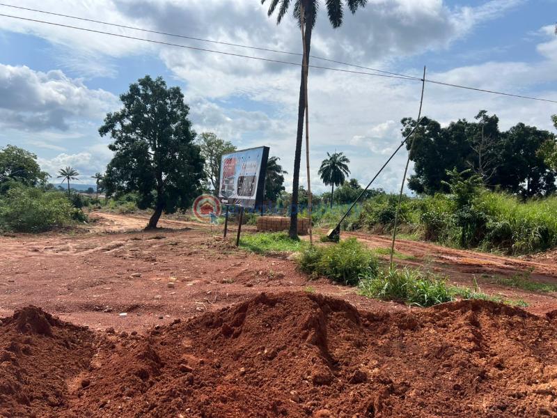 Residential Land For Sale Elim Estate Ibagwa Nike Enugu Area 