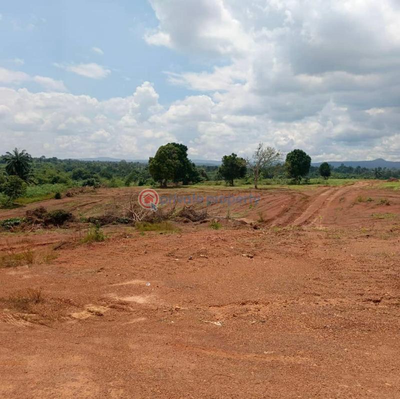 Residential Land For Sale Elim Estate Ibagwa Nike Enugu Area  - 2