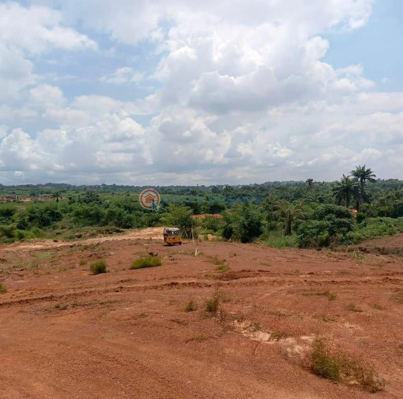 Residential Land For Sale Elim Estate Ibagwa Nike Enugu Area 
